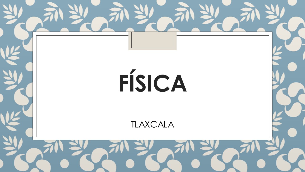 FISICA II